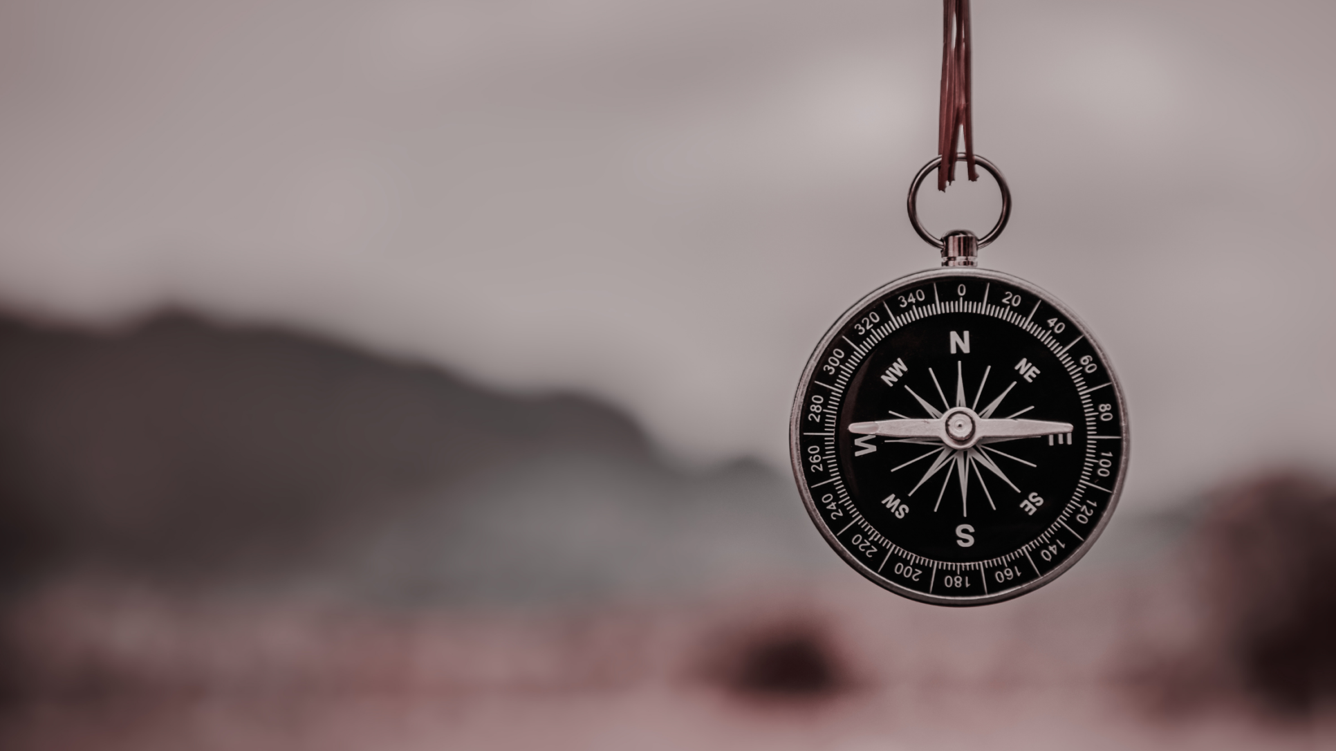 Affordable Search Engine Marketing