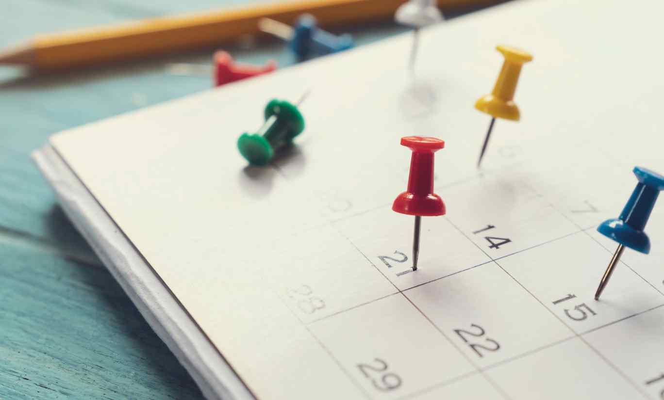 Why your business needs SEO content management